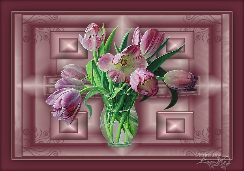 http://marinette.do.am/2015/tulipan.jpg
